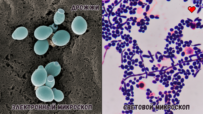 ��������� ������ ������ � ������� ������������ � ��������� ����������.