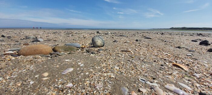   .   -   . -  .          .