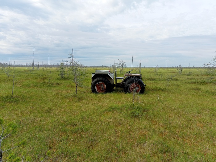 ������� �� ���� ������