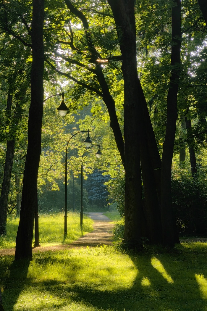 Дорога в лето