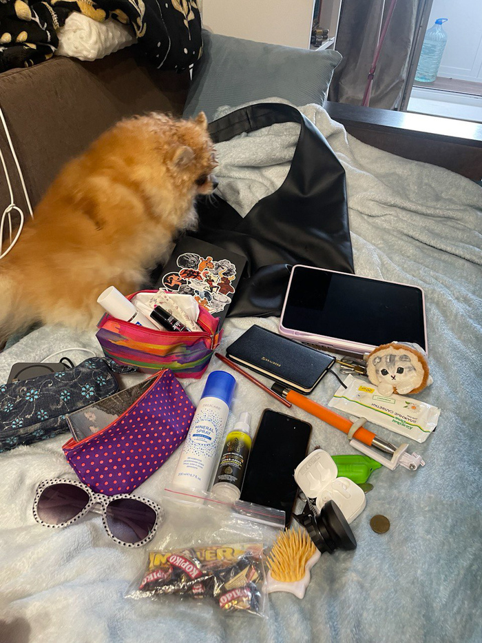 ����������