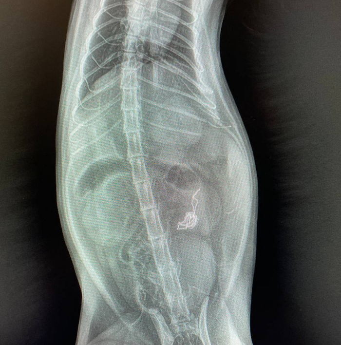 ��� ����� ����� ����� � ���� �� ����� ��������� ����.