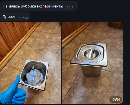 Она и правда думала, что сможет утопить черепашку?