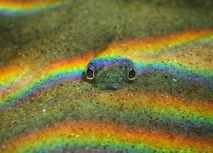 Меня здесь нет.