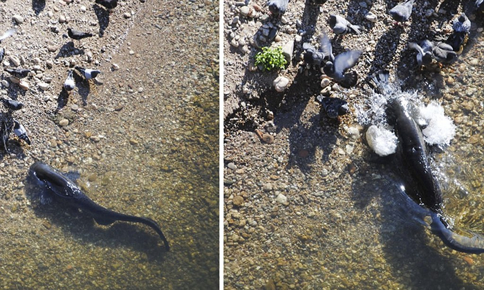 Месть за испачканные памятники никогда не была такой жестокой...
