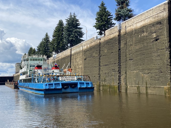 Дмитрий Калинин