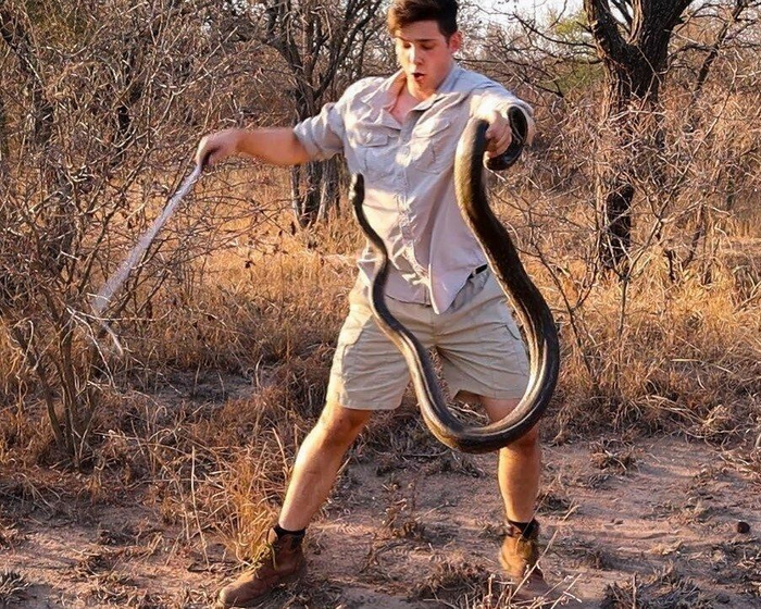 Если русская рулетка — это заряженный одним патроном револьвер, то африканская рулетка — это заряженная на укусы мамба.