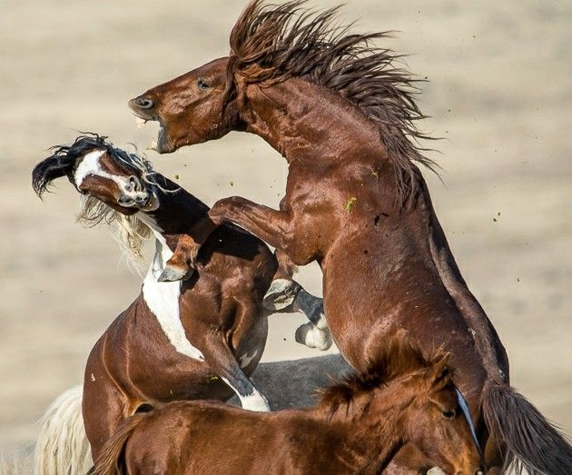 — Уходи! — Зачем же так орать, можно было и спокойно это сказать...