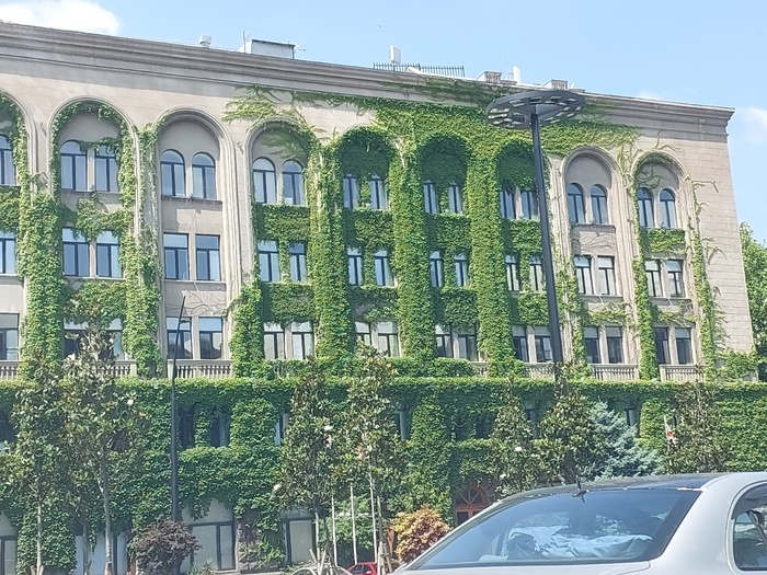 Красивый покрытый зеленью дом