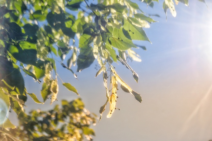 ������� ������ � ������� ����� ���� ������ � ���� ������