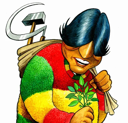 Да, карикатуры там любят