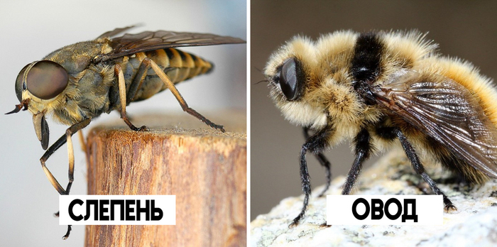 :   .        .    .     ,     .