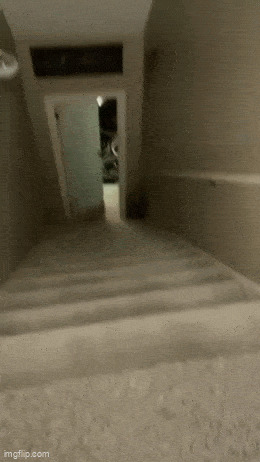     , , , 
