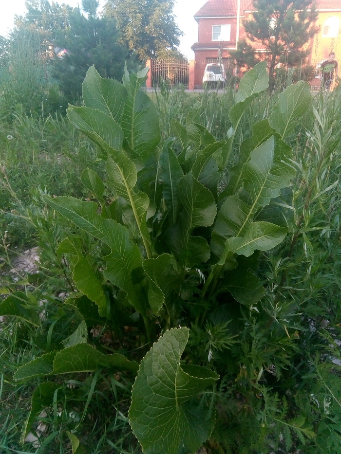 ���������� ������ �������, ��� � ���� ����� ������� ��� ��������. ���. ���� ����. � ��� ������. ���, ����� ���-��? ������ ��.