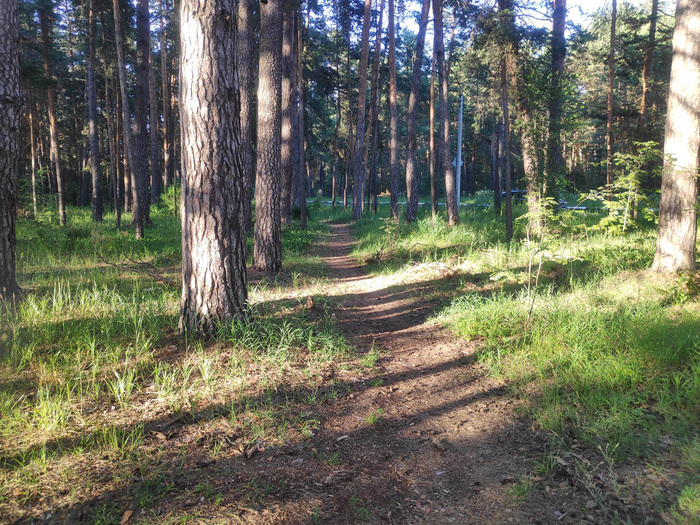 18:49 <!--noindex--><a href="https://pikabu.ru/story/peshekhodnaya_progulka_iz_ryazani_v_solotchu_11555779?u=https%3A%2F%2Fyandex.ru%2Fmaps%2F-%2FCDCrfWZB&t=https%3A%2F%2Fyandex.ru%2Fmaps%2F-%2FCDCrfWZB&h=0d227b96aae7a327466d92a766110b598a1c48c6" title="https://yandex.ru/maps/-/CDCrfWZB" target="_blank" rel="nofollow noopener">https://yandex.ru/maps/-/CDCrfWZB</a><!--/noindex-->