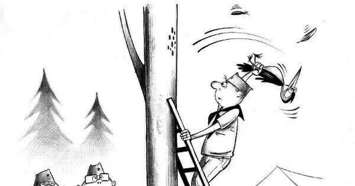 Кормление дятла | Пикабу