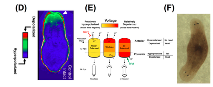:    /    .  :   ,     . :  ,        