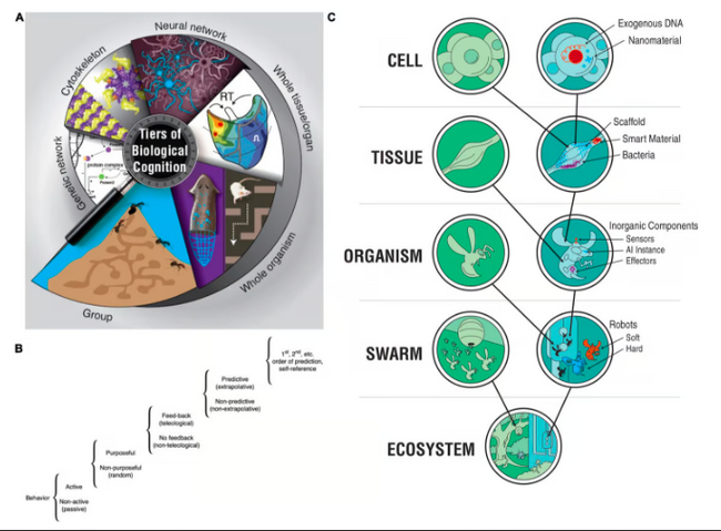  ,      :    ,         .