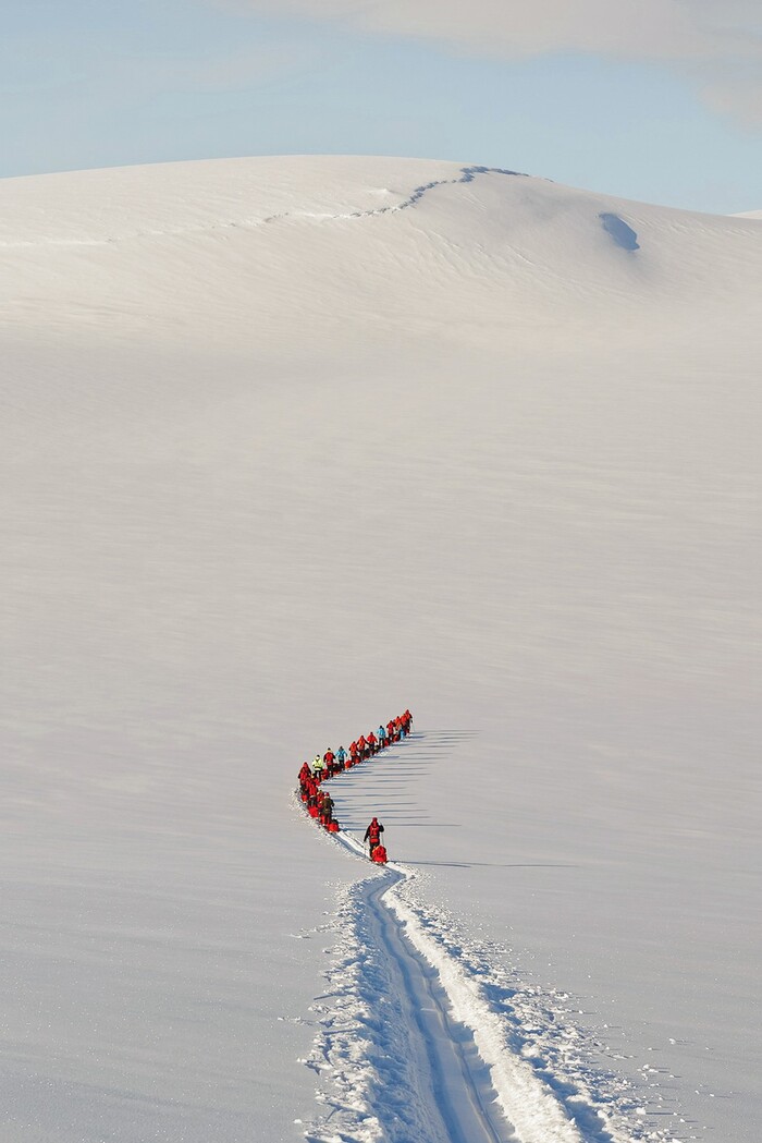 © Kari Peltola (Финляндия) «Арктическая экспедиция». «Золото» в категории «Минимализм».