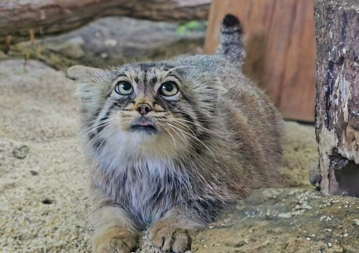 ��������� �� ����� �����