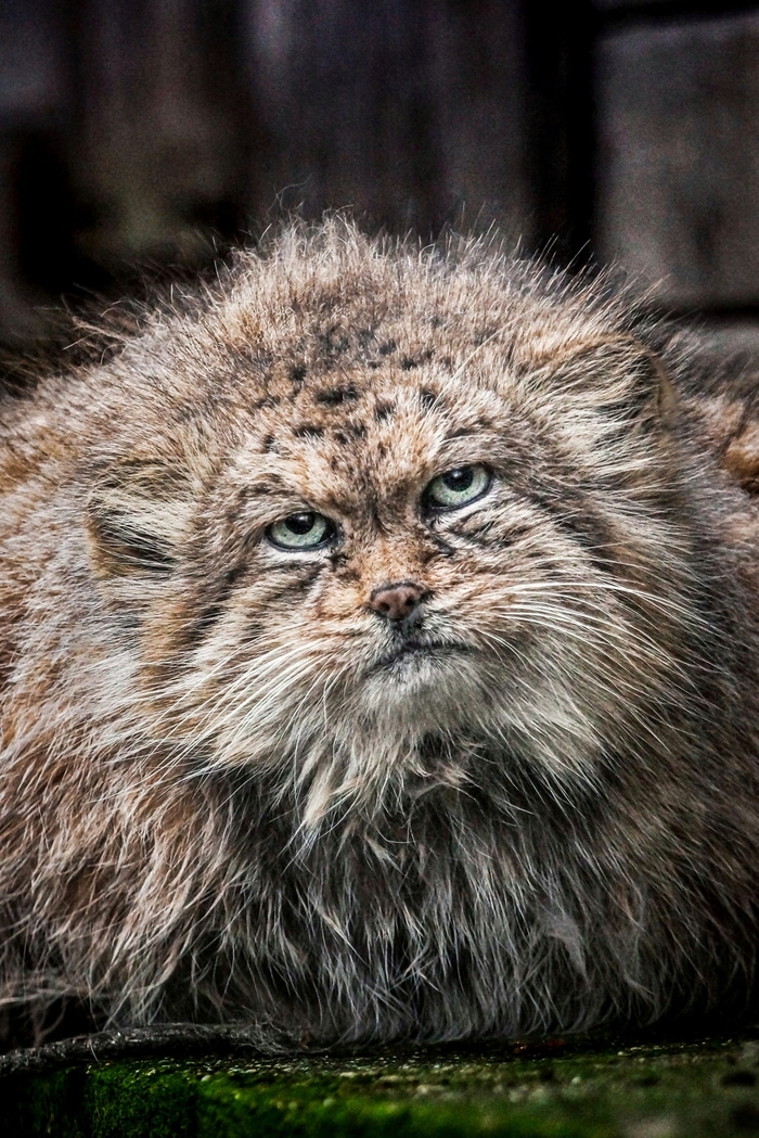 ������� 18