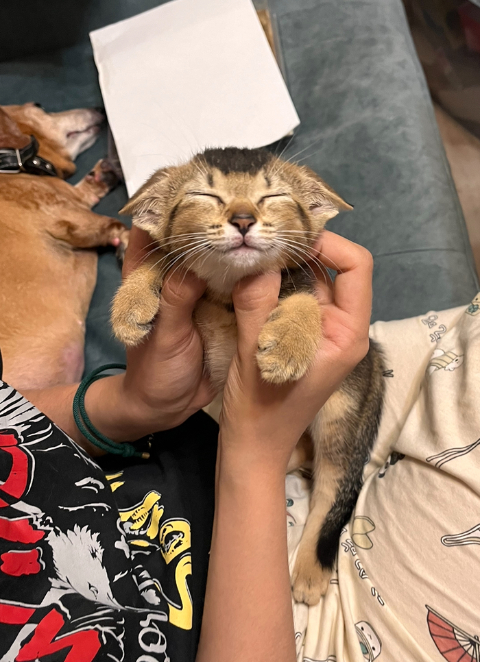 �����-���