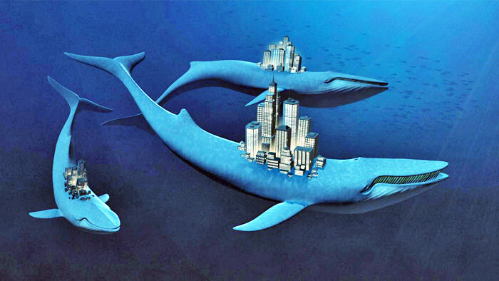 Над чем важно работать предпринимателю: 3 кита бизнеса