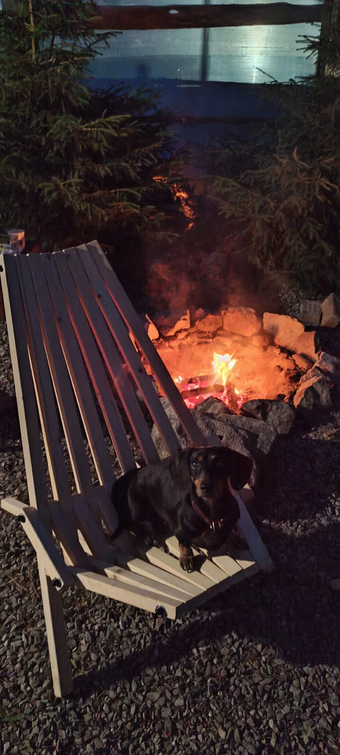 ���� ����. ��� ��������