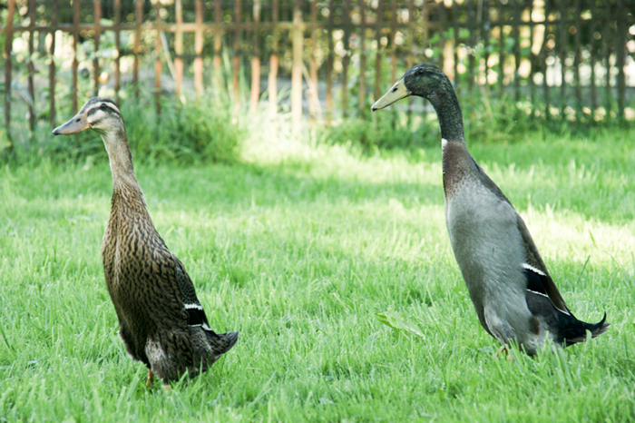   ,        .    ,   .    .      