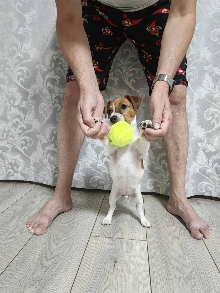 ��� ������� ������ �� �����????