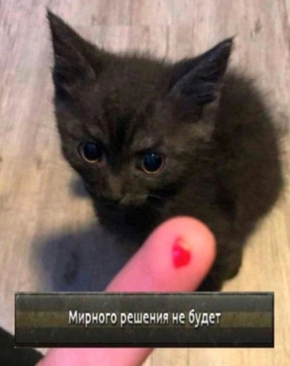 Так это понятно по взгляду