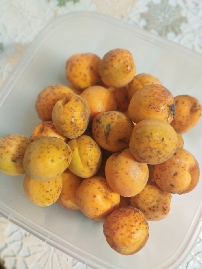 ������� ����� ���� 1