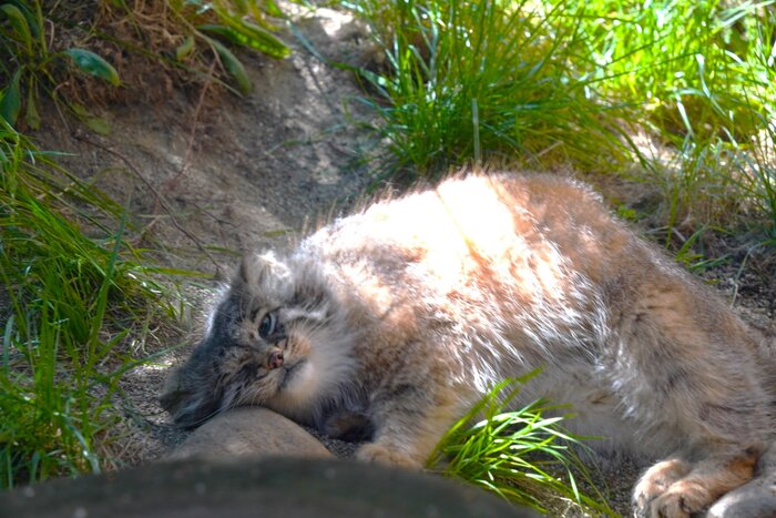 Я встал, но кто я такой, что-бы бороться с гравитацией?