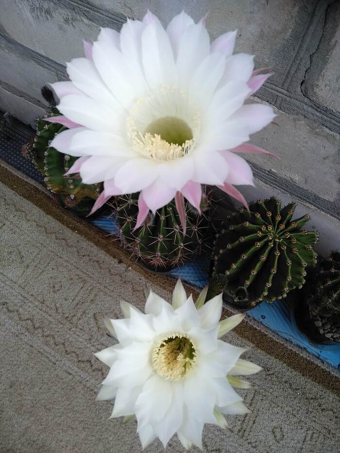     , ,  , , , ,  