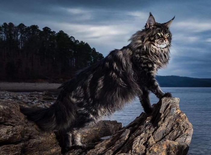    -       .      +30,      -25.