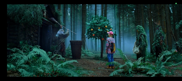 Да, вот они, яблоки.