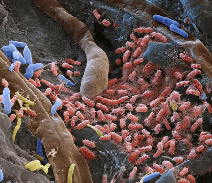 .         .  . : x8000 .