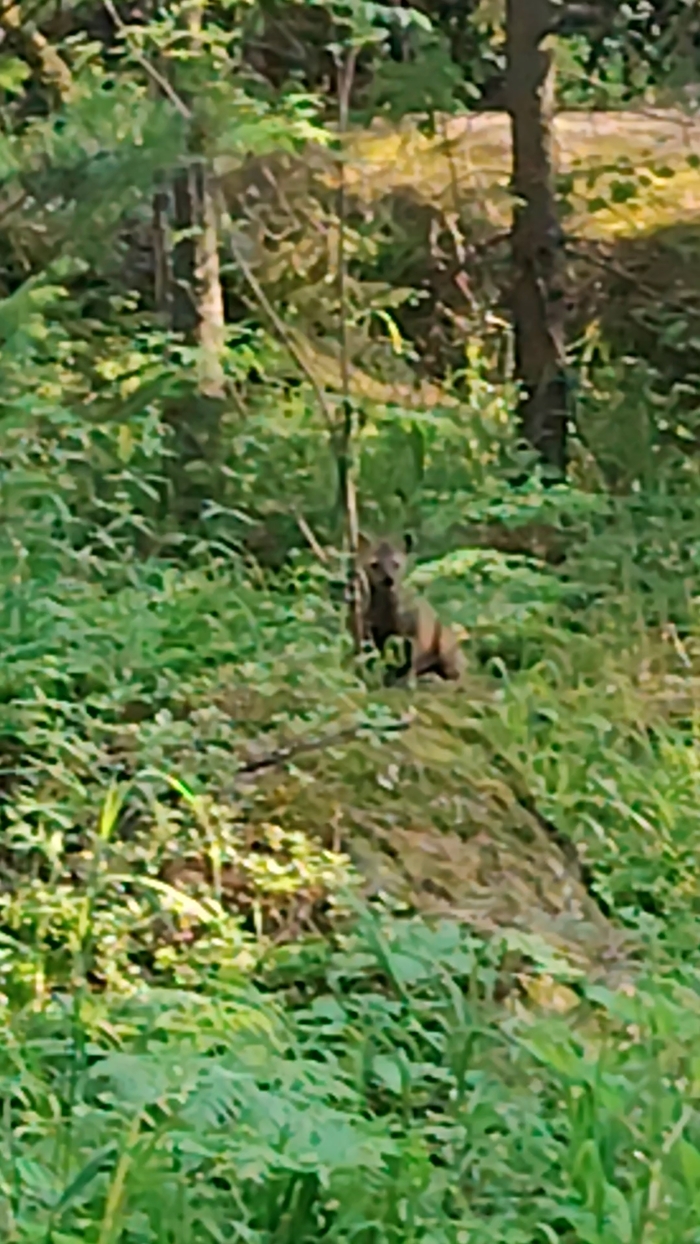 ������ � ����� �������