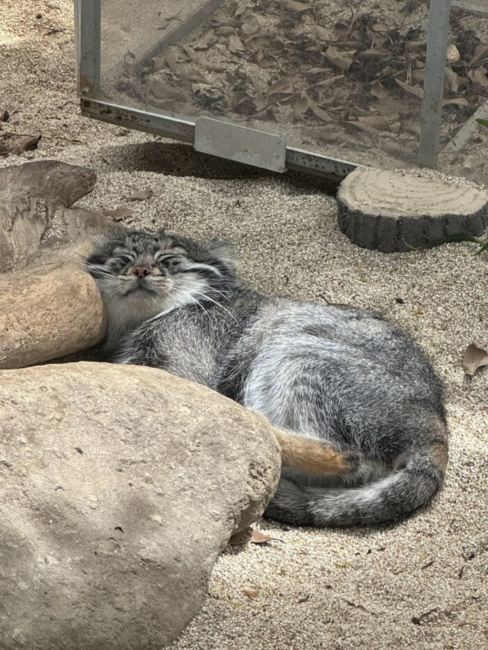 Да смысл уже... Всё равно проспал...