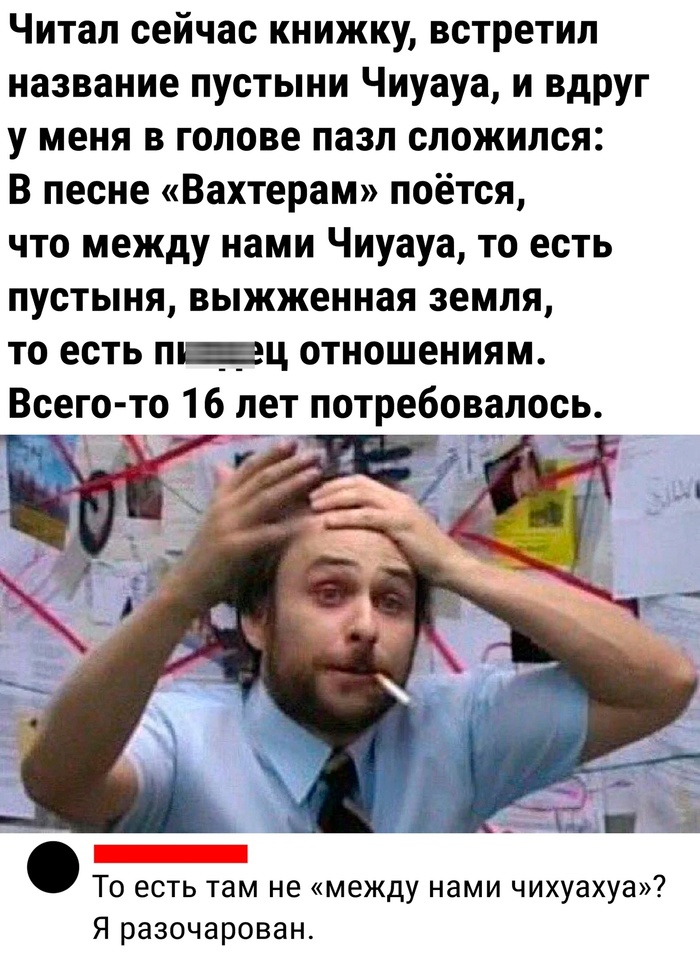 Меду нами чихуахуа