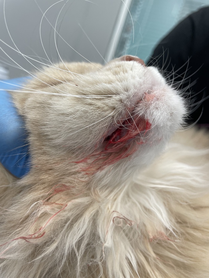 ���������� ��������� ������ ������ ����� ������ ������� - ����������� ��� ������� �������.