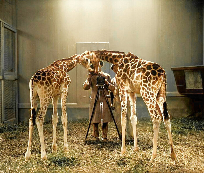 Подборка фотографий из прошлого, которые заставляют удивиться. 20 раскрашенных фотографий из XIX-ХХ века. Часть IV Колоризация, Историческое фото, Старое фото, Фотография, 19 век, 20 век, Длиннопост