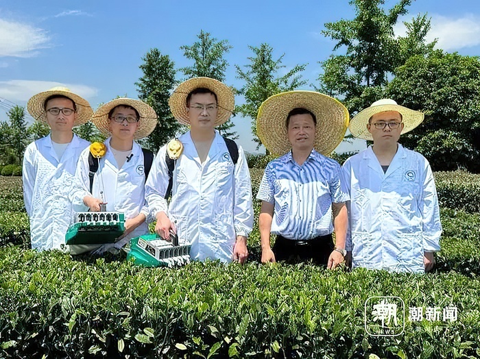 китайские чайные ученые