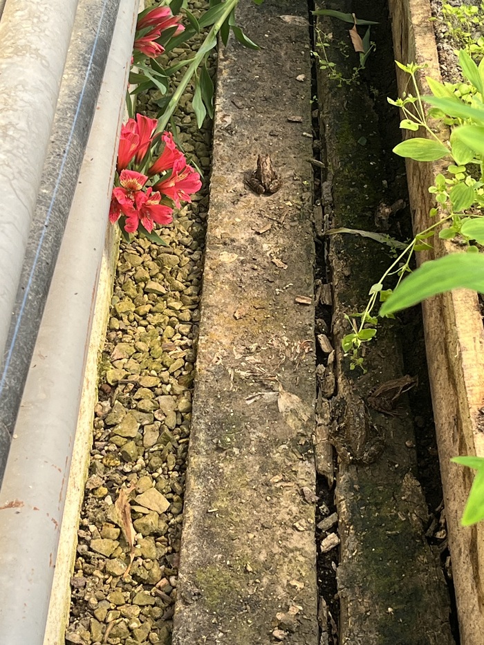 ������ ����� � ��������. ����� �� �� ����� ������.