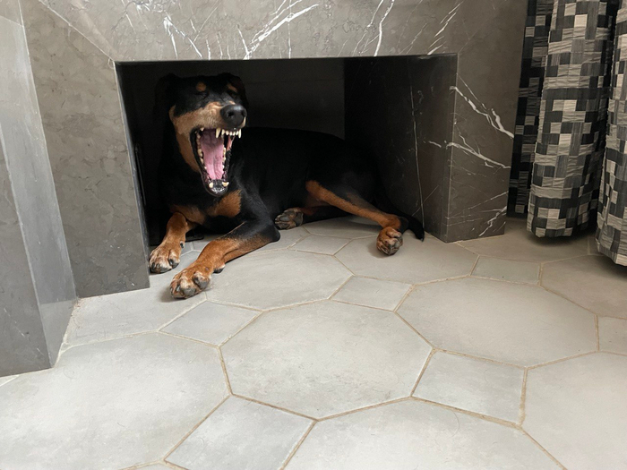 Мраморная конура