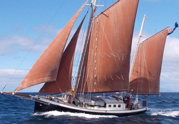 ����� ������������ ������