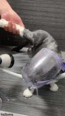   , , , 