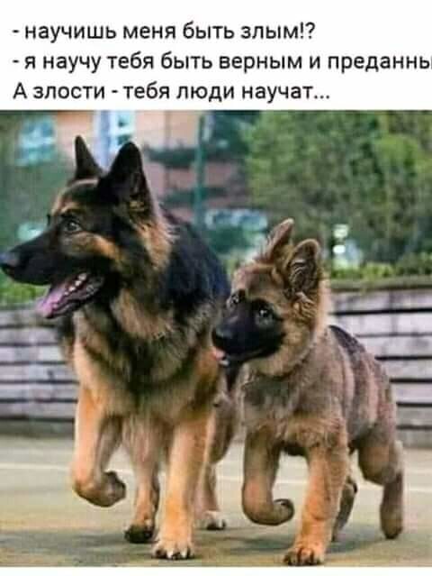    ?       .  -     , , ,   