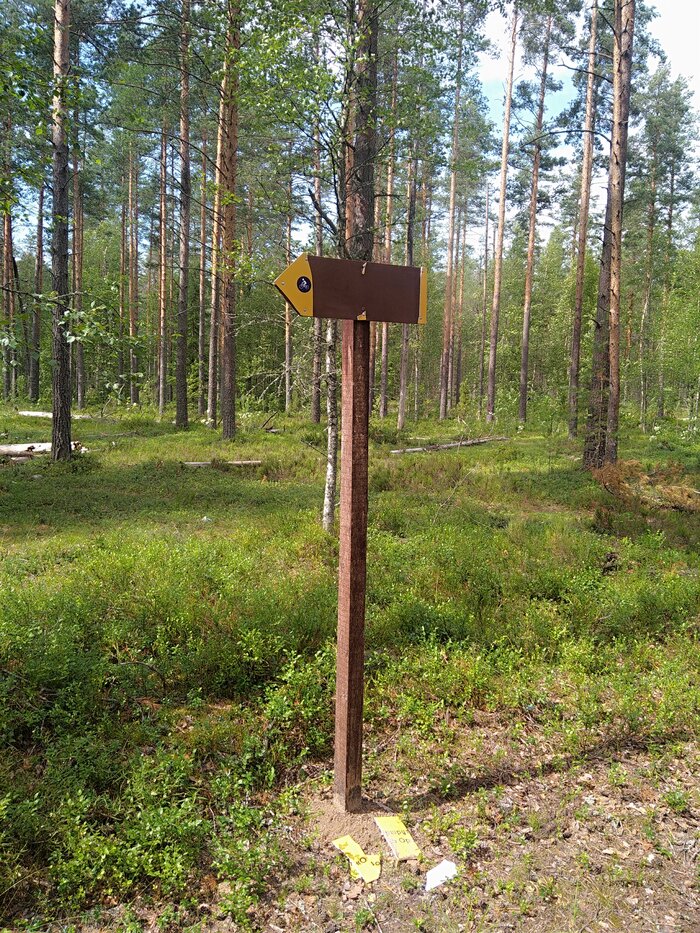        09.07 90+