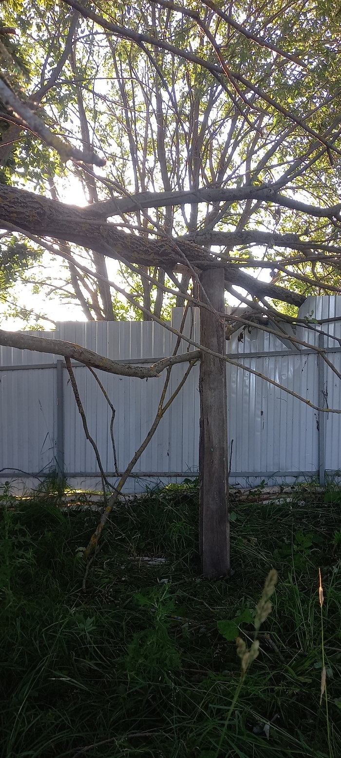 ����� � ��� ���������, ���� ������ �� ���������.